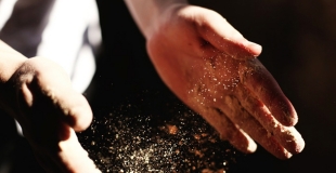 Assurance décennale pour artisan sans expérience : tarifs et devis 2025 !