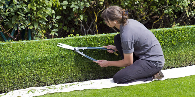 Garantie décennale pour jardinier paysagiste : comparateur, devis et tarif